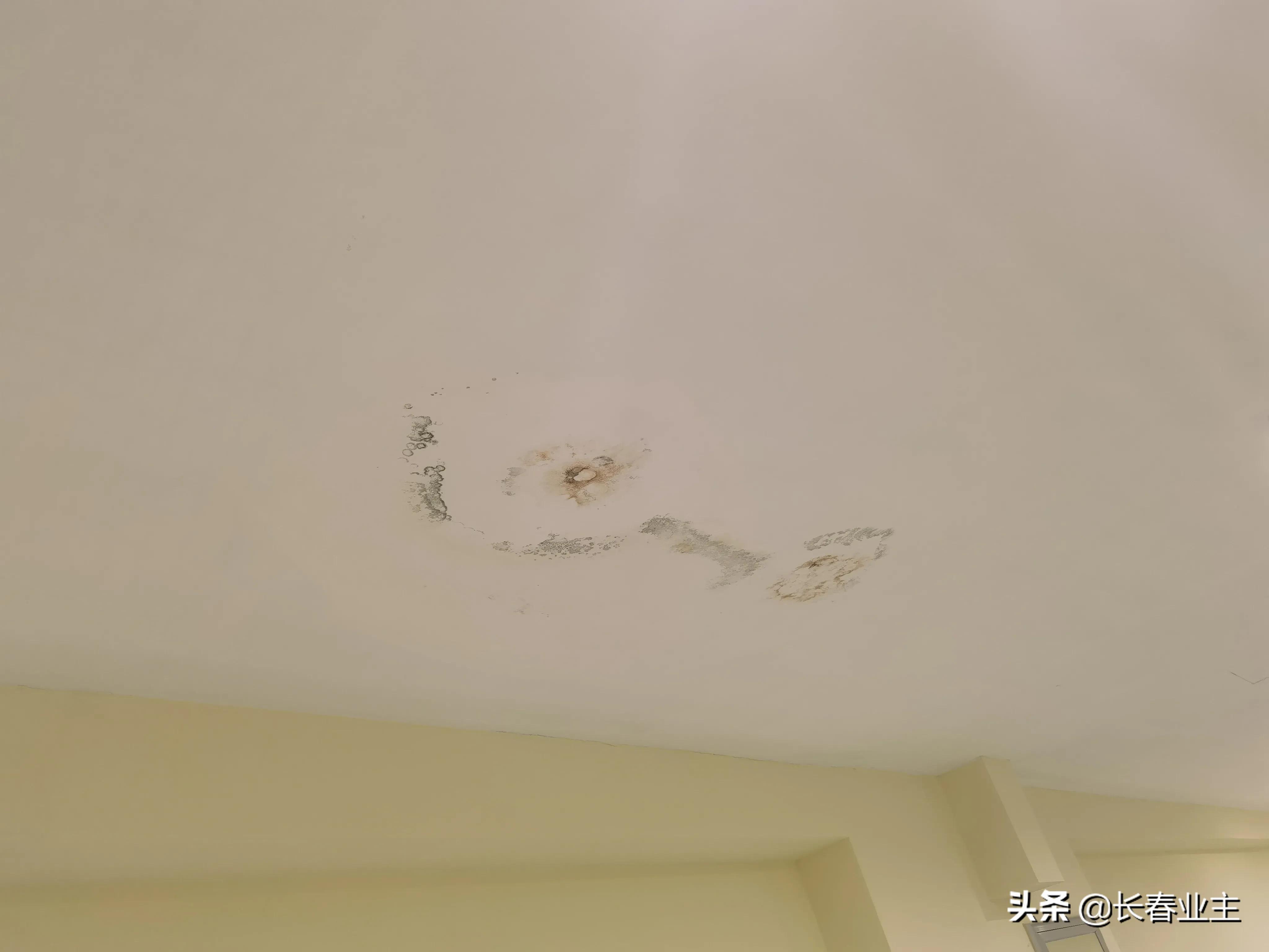 长春工人体育馆游泳馆,长春市工人体育馆最新消息