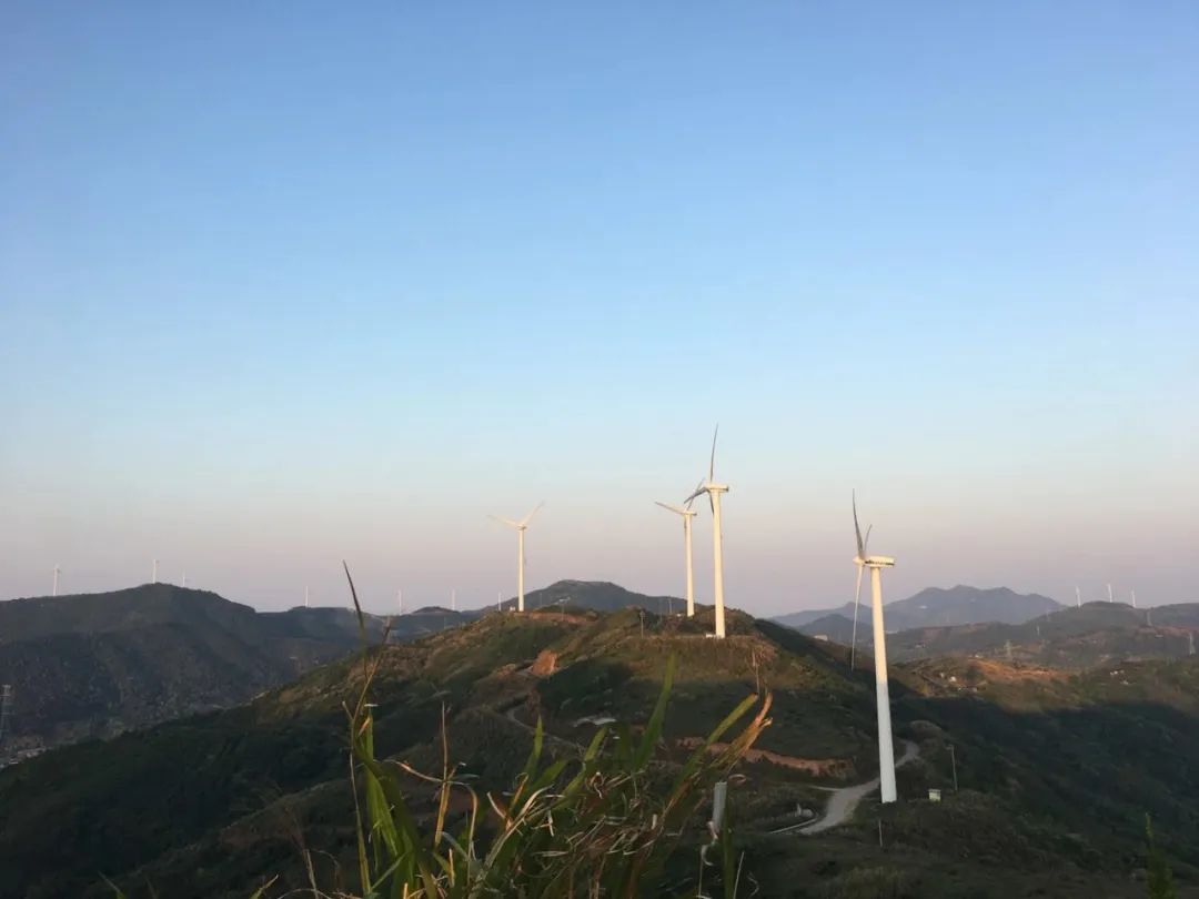 上海附近的小岛攻略,上海附近的海岛旅行攻略