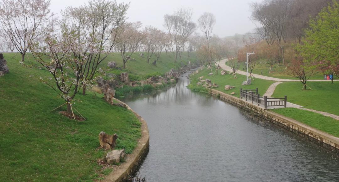 南京的小众景点非常适合一个人去,南京充满森林的公园