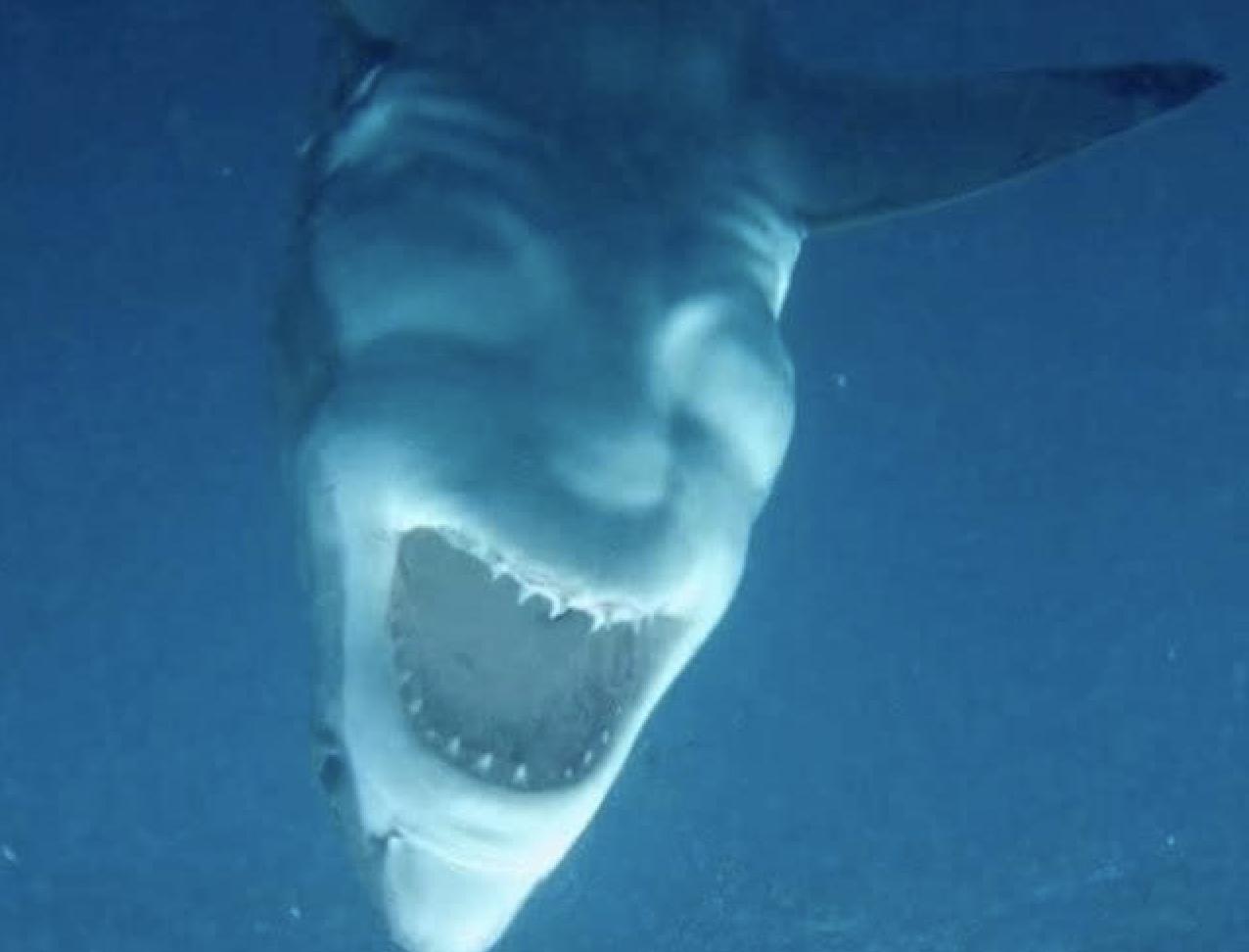 一些很普通的图片,那些看似普通却很惊艳的照片