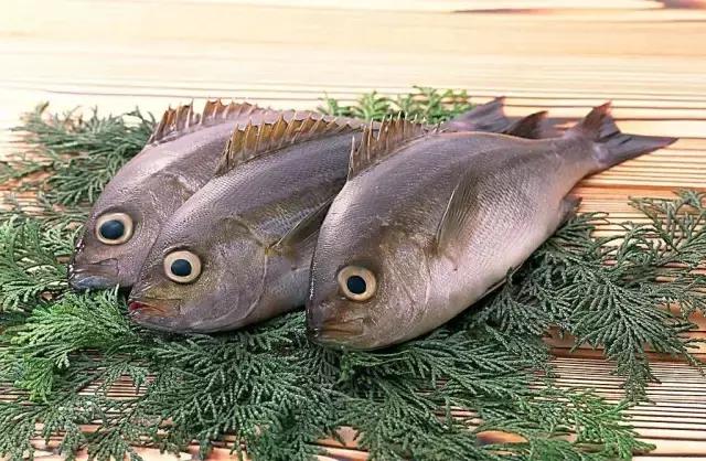 汕尾吃海鲜的正确方式,汕尾人吃海鲜