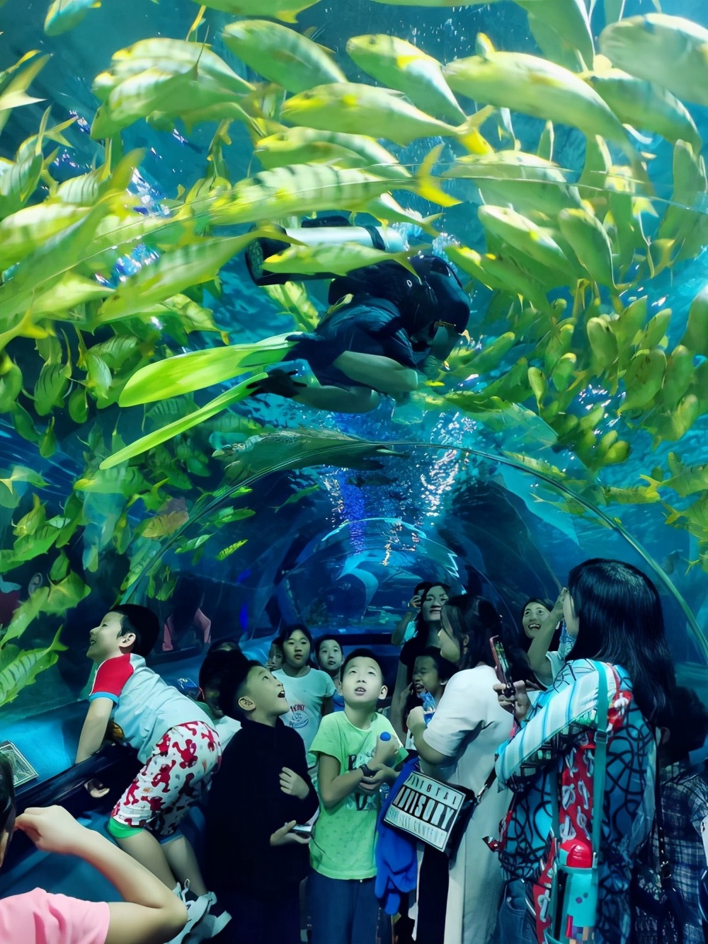 守护海洋的行动有哪些,守护海洋生物活动