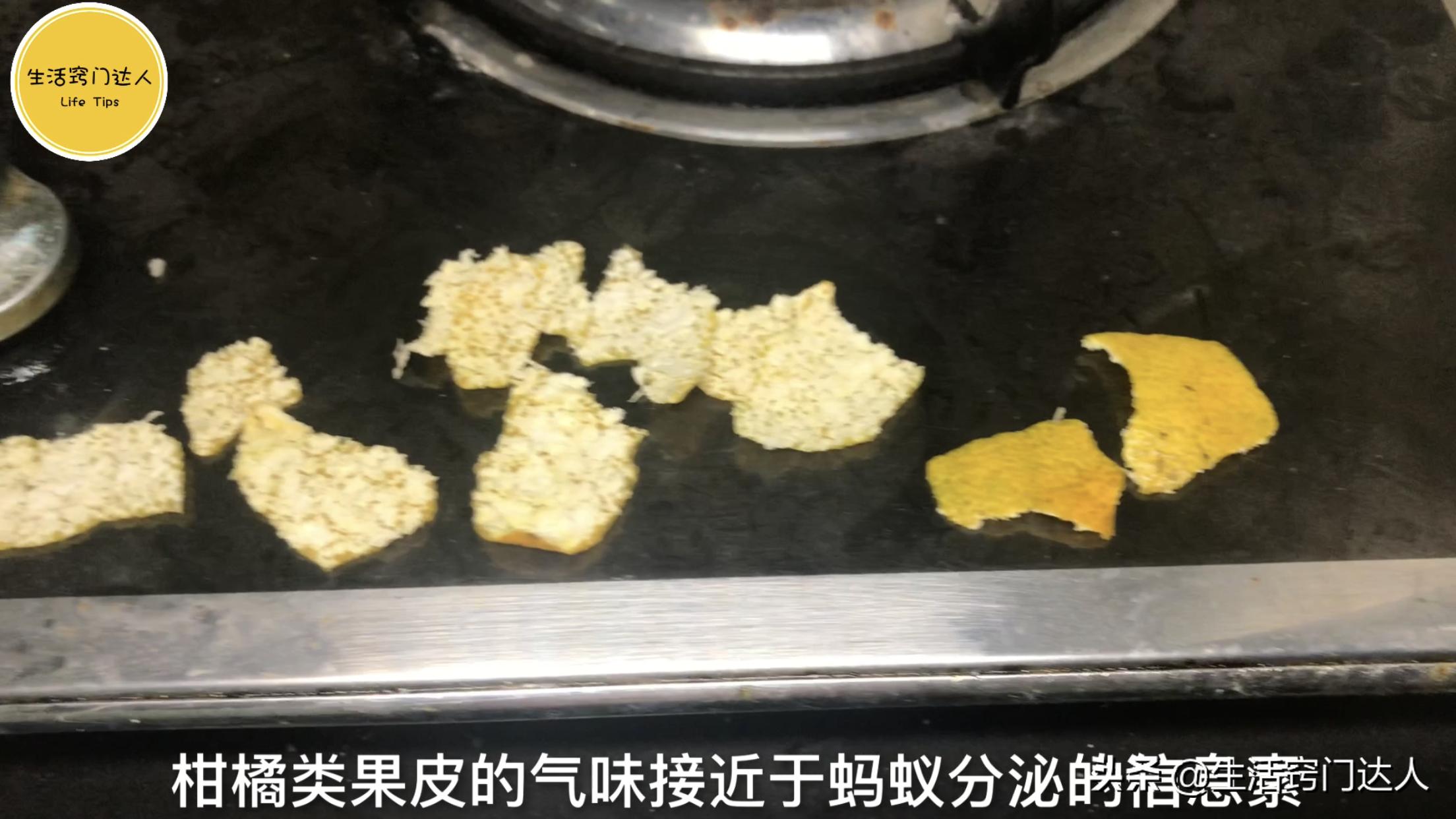 杀灭蚂蚁用什么方法最好,怎么驱赶蚂蚁最有效的方法