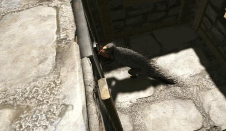 方舟手游体型小负重高的龙,方舟生存进化体型最大