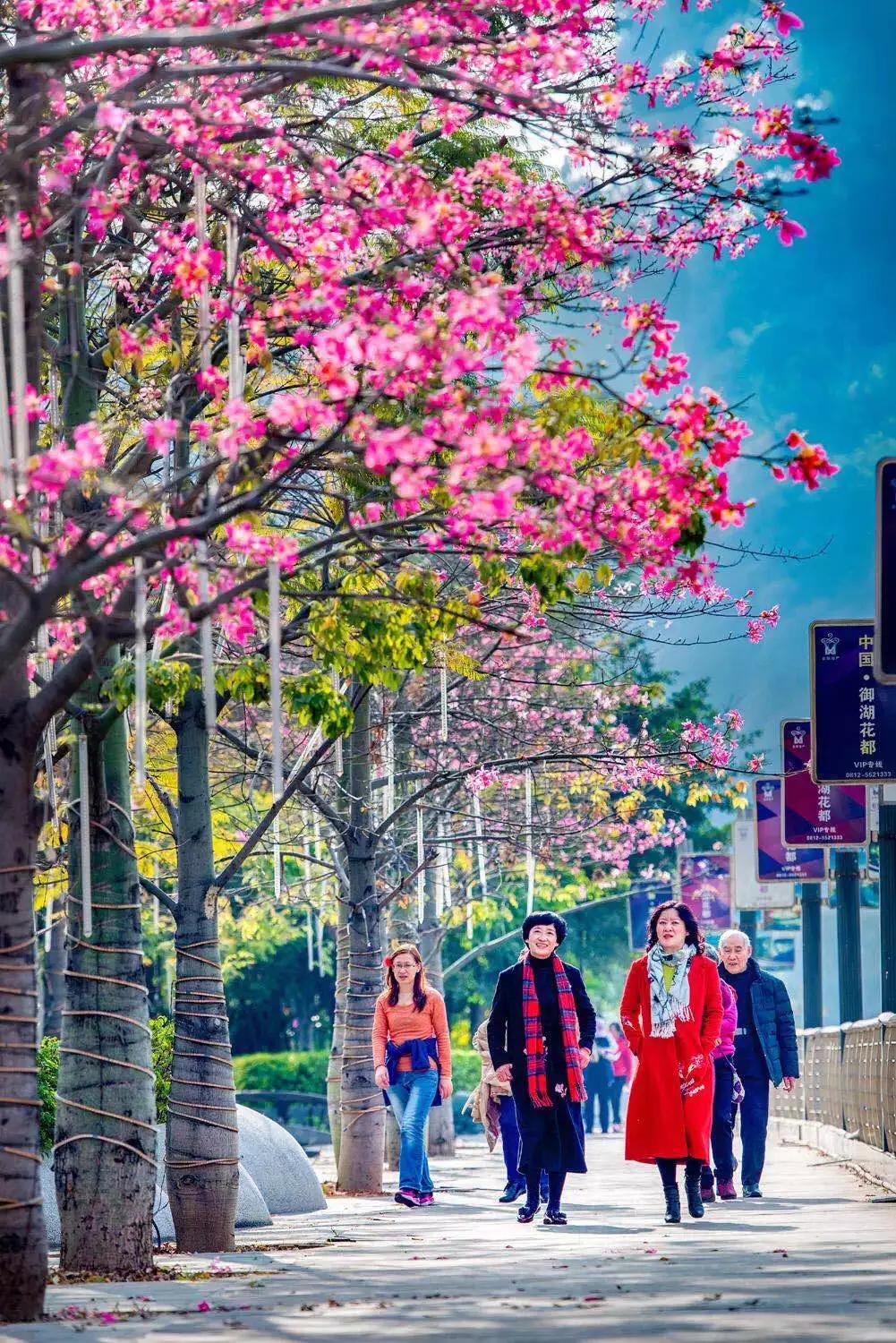 云南十大公路自驾游,云南自驾5条最佳线路图