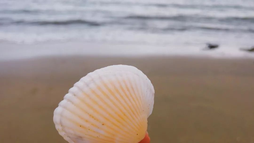 汕尾人眼中的外省人,外来汕尾