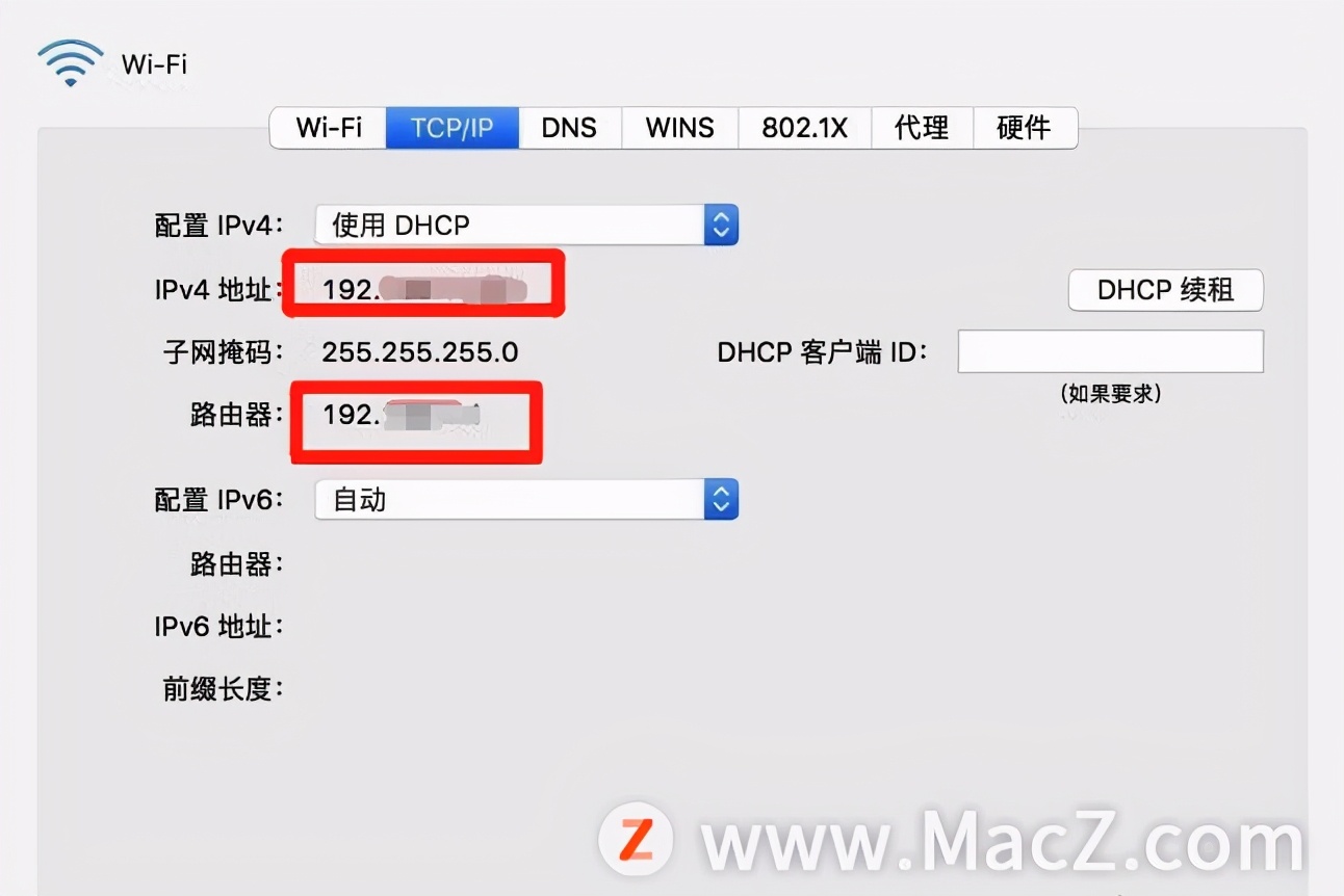 怎么查看苹果系统电脑ip地址,查看本机ipdns