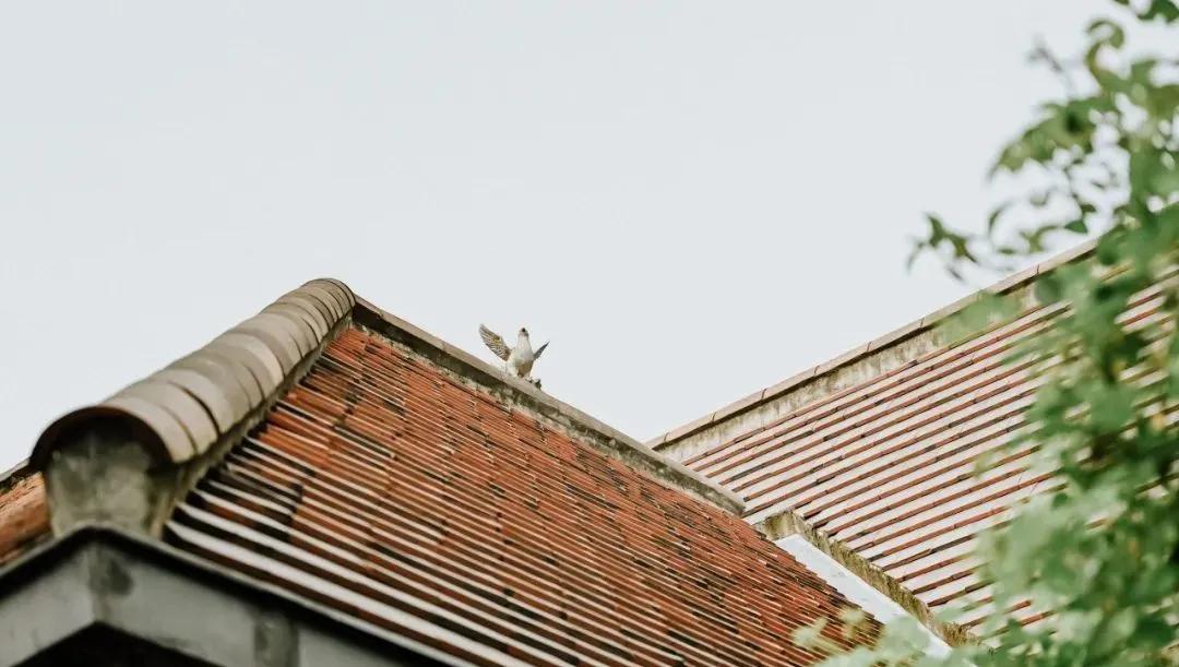 上海小众老洋房参观攻略,上海老洋房观赏路线