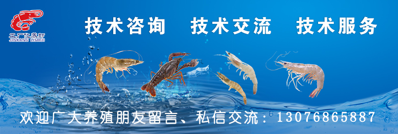 对虾红脚是什么原因,对虾红体的原因及其应对办法