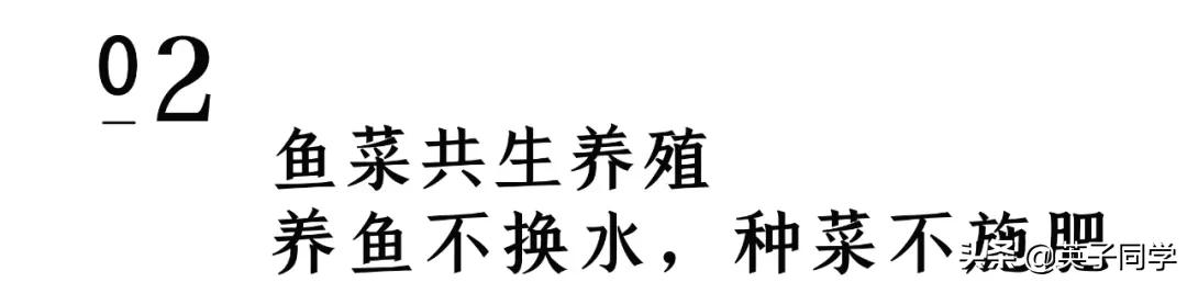 南昌农家乐采摘一日游,南昌采摘农家乐