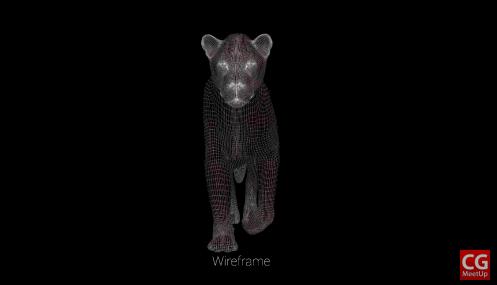 狮子王到底返不返场,狮子王口碑