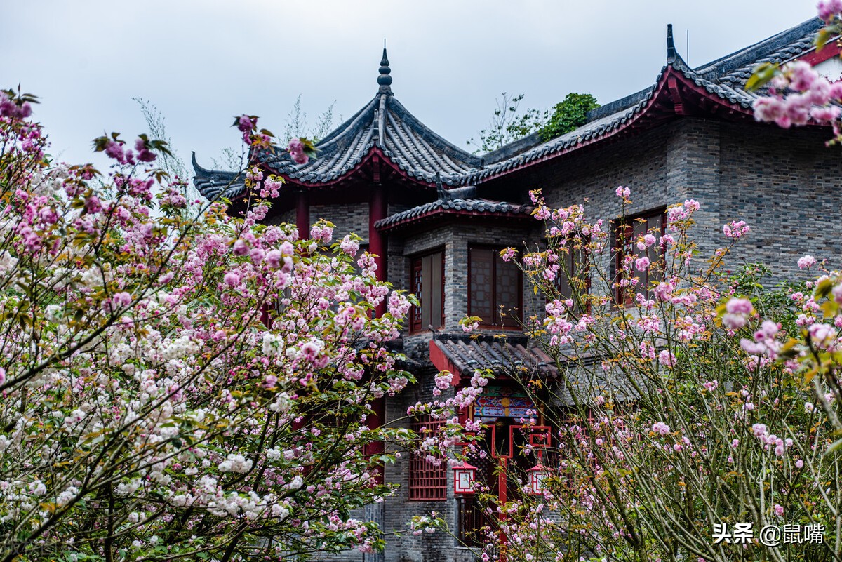 世说新语原文和译文,世说新语原文及翻译陈太丘与友期