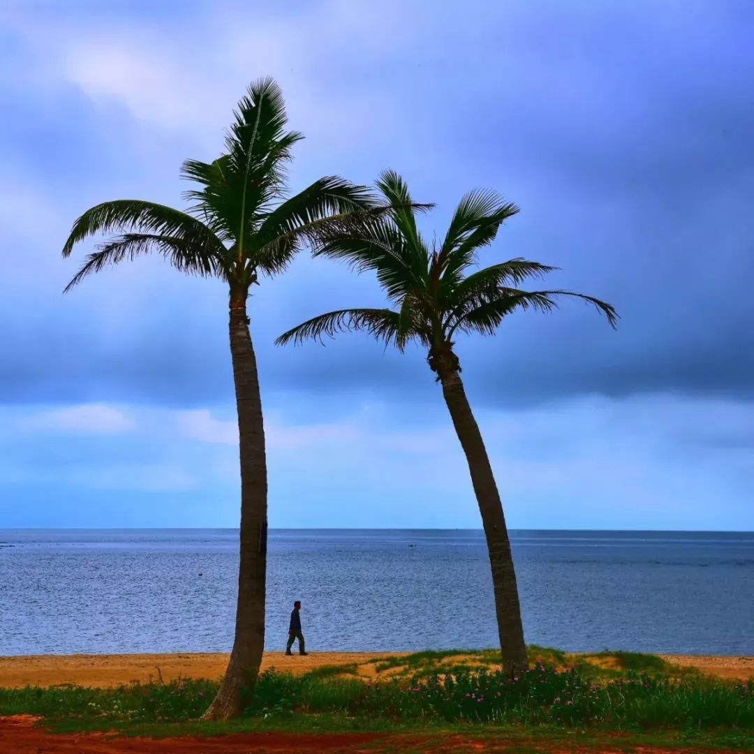 距海南20km有片处女地，比台湾风情比三亚便宜，路过都错过了