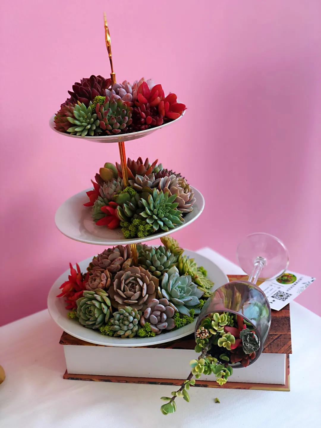 这个年销量上亿株多肉的县城，举办了首届多肉电商节