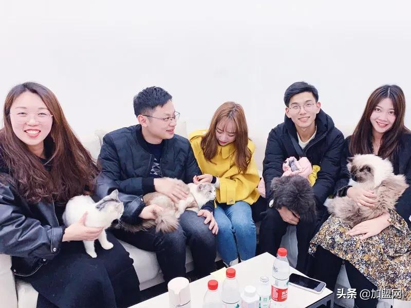 适合较低投资的加盟店,加盟创业小白店