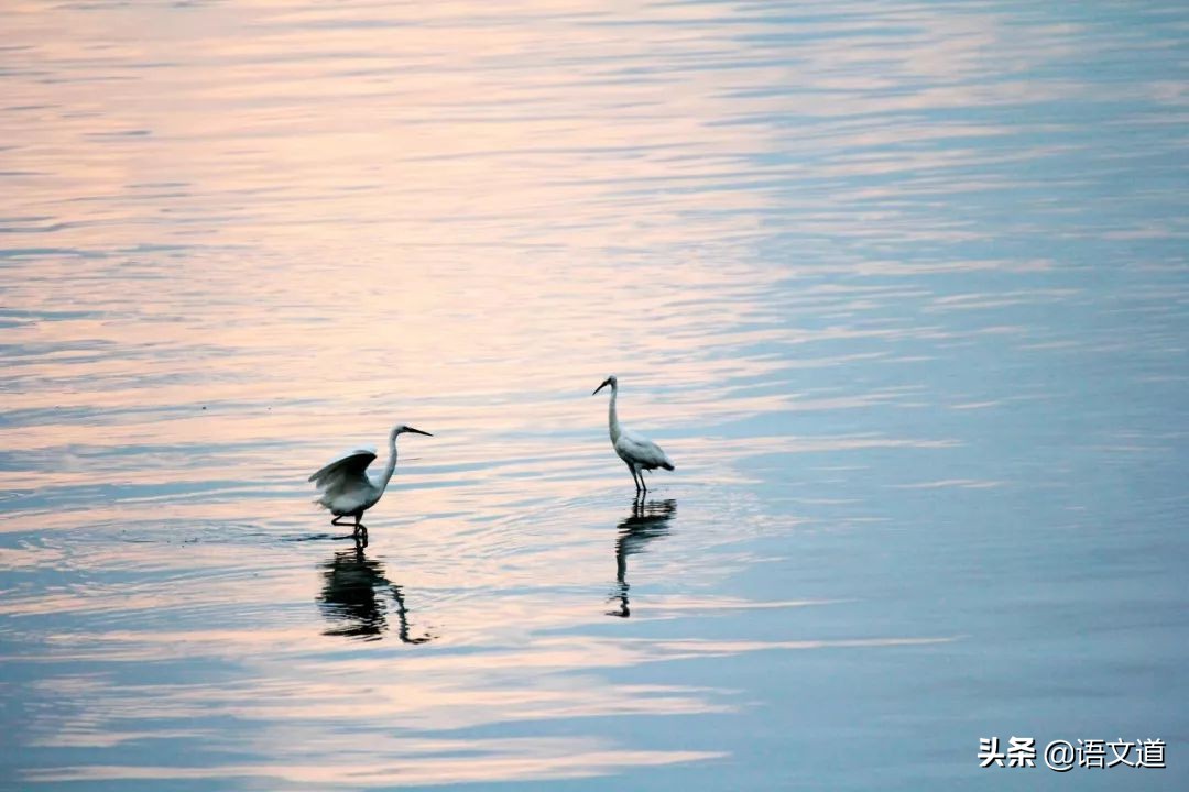 大公无私≠铁面无私：50组易混淆的成语，你真的用对了吗？
