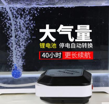 金鱼已经入缸怎么培养硝化菌,鱼缸用什么材料培养硝化菌最好