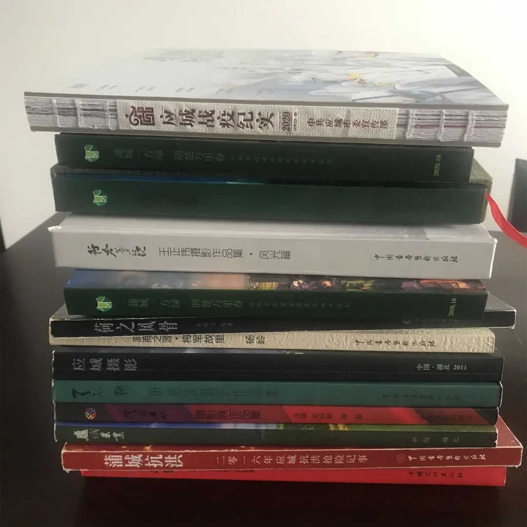 李鸿飞摄影作品初春,李鸿飞画家