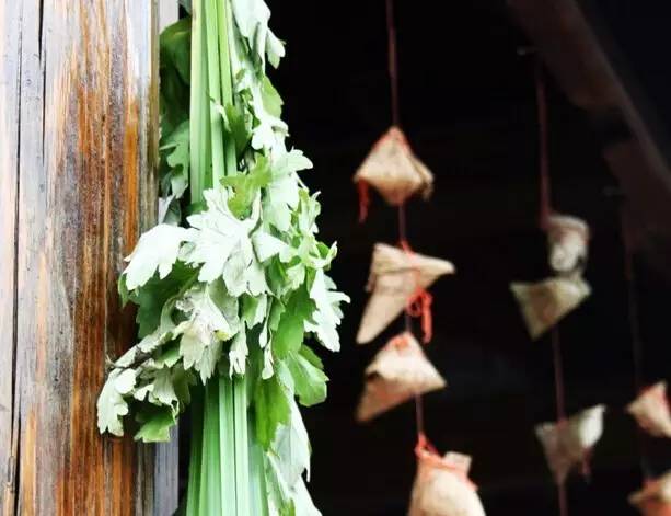 小艾的人生经历,小艾辛酸史