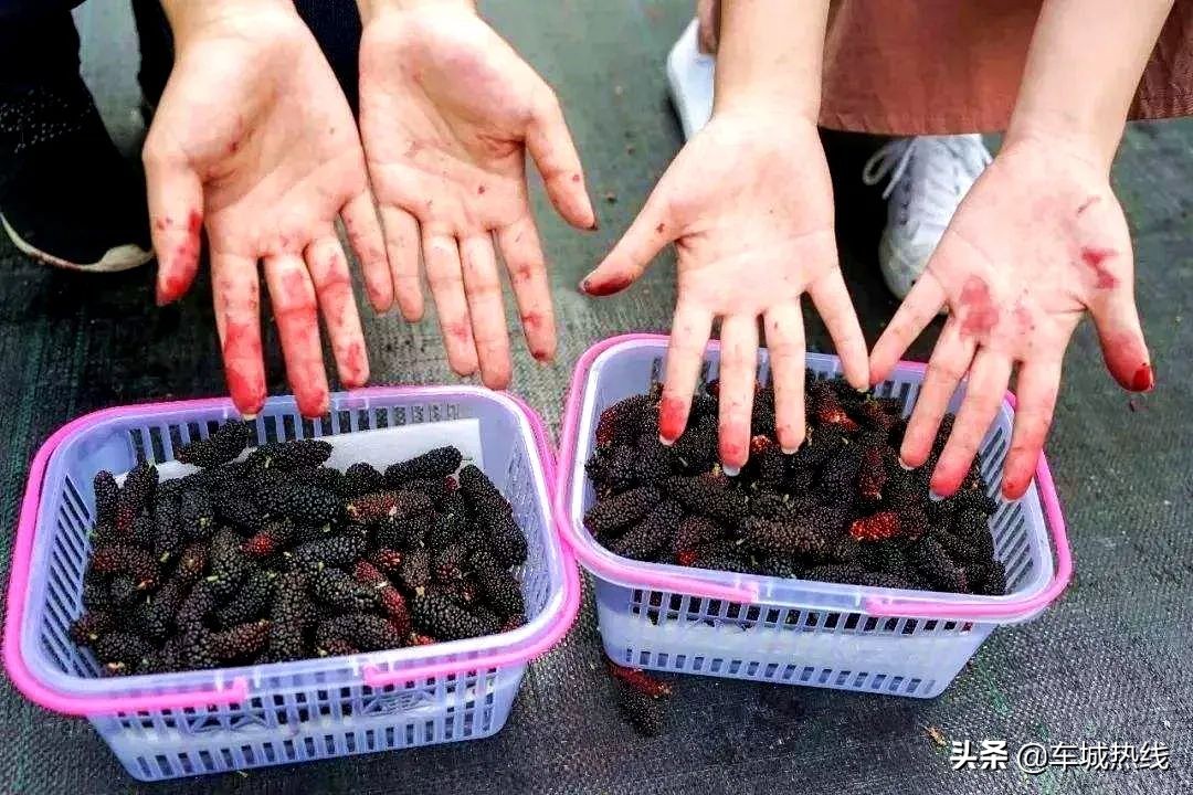 十堰市坐公交车最新要求,今天十堰公交202出行情况