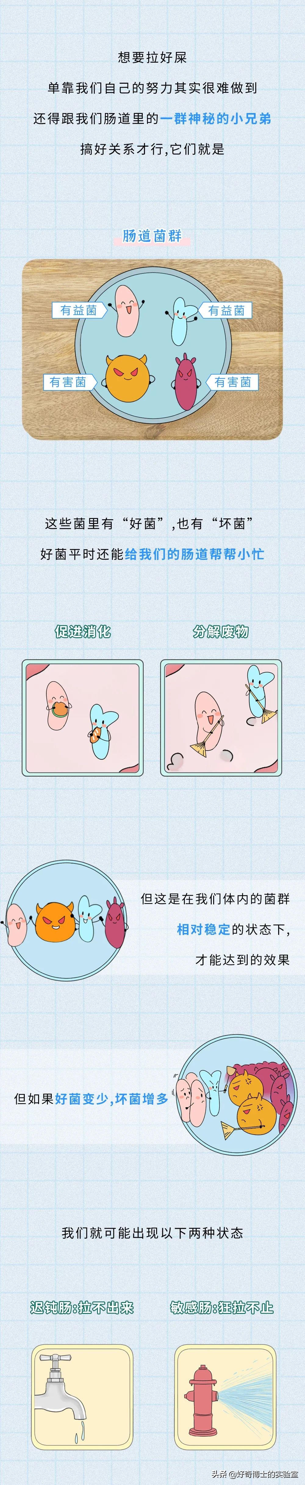 拉屎为什么这么爽,拉屎为什么会很爽