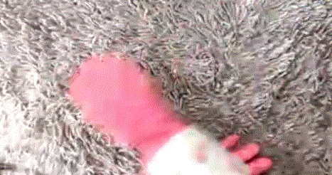 毛衣大衣掉毛严重怎么处理,起球毛衣大衣一招拯救太实用了