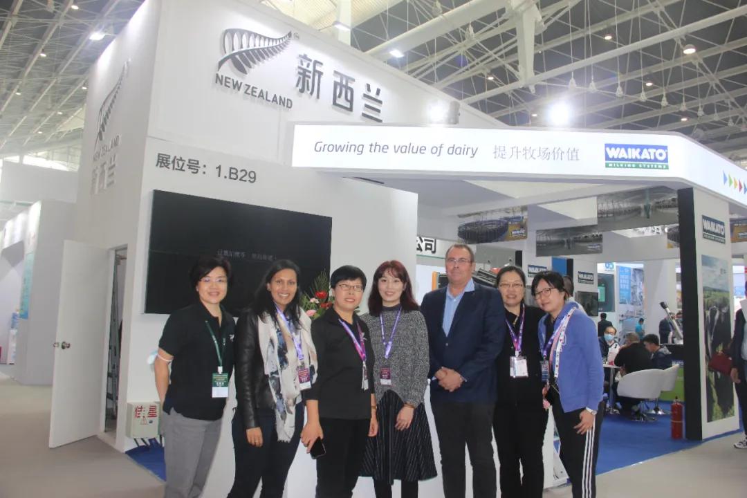 出口新西兰最好的奶粉,新西兰出口中国的奶粉