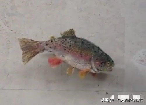 閫忚澶栨寕鐪熷疄浜嬩欢,閫忚澶栨寕鐪熺殑鍋囩殑