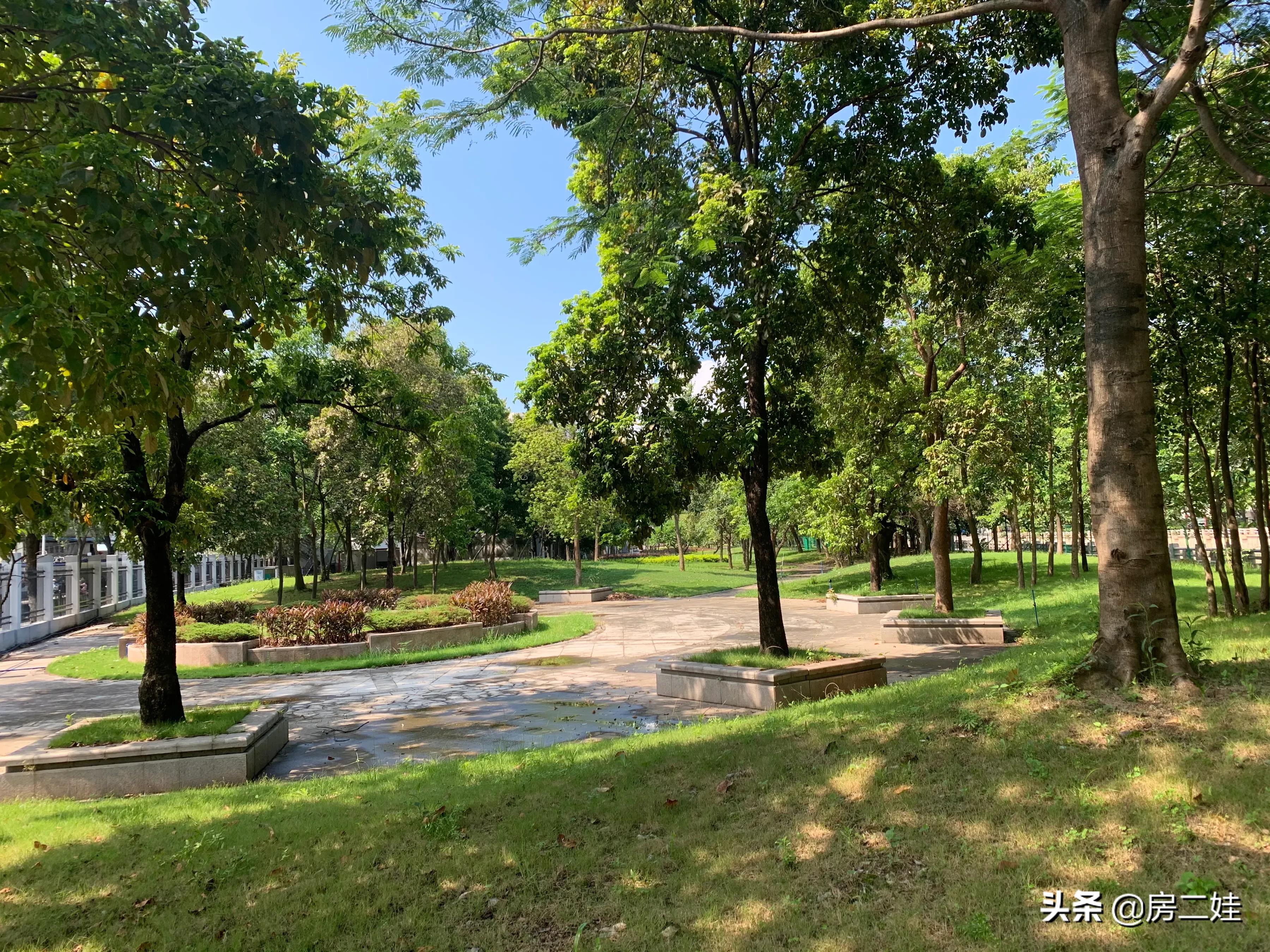 二娃短评,二娃最新点评视频