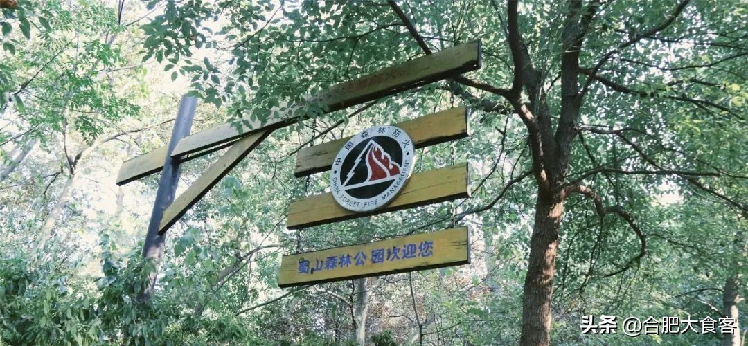 合肥大蜀山的秘密,合肥大蜀山的由来