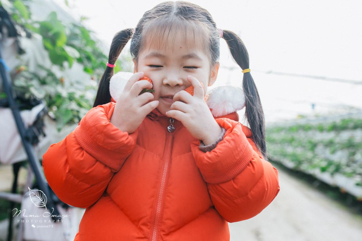 几百亩草莓采摘基地，无销售，不够卖，老板：绿色天然无公害