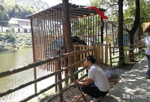 适合农村的家庭致富小项目盘点,农村适合做哪些创业小项目