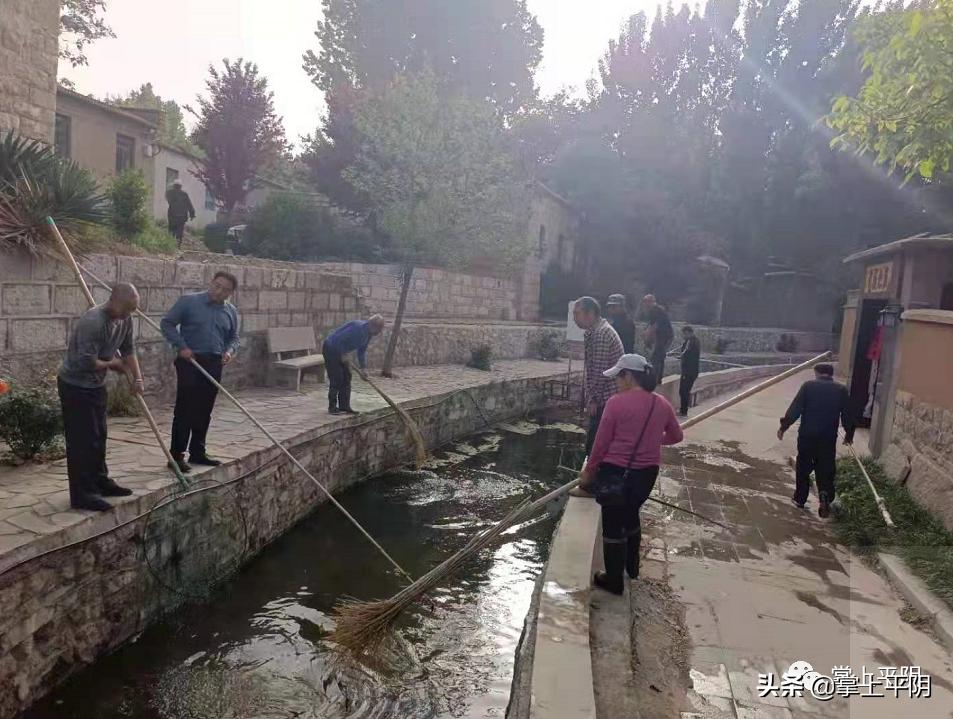 平阴新闻|街头艺术走进景区；玫瑰花监测价格公示