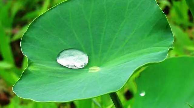 期货交易的最佳时机,期货潜伏