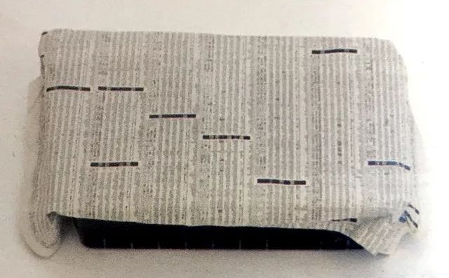 种子怎么育苗出芽率高,怎么能让种子发芽育苗