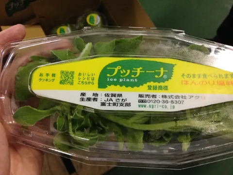 日本农业发展的有利和不利条件,中国农业和日本农业的比较