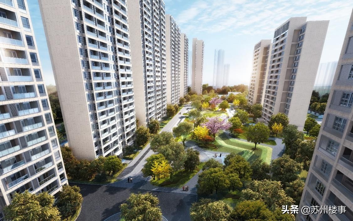 五子耀苏州，金科致未来｜湖畔春晓，开篇金科苏州下一个十年