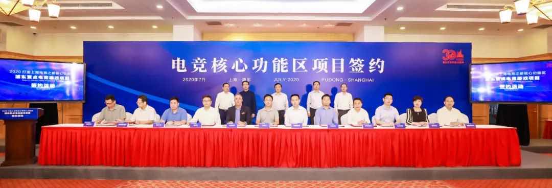 上海上港足球发展现状,上海上港专业足球场草坪