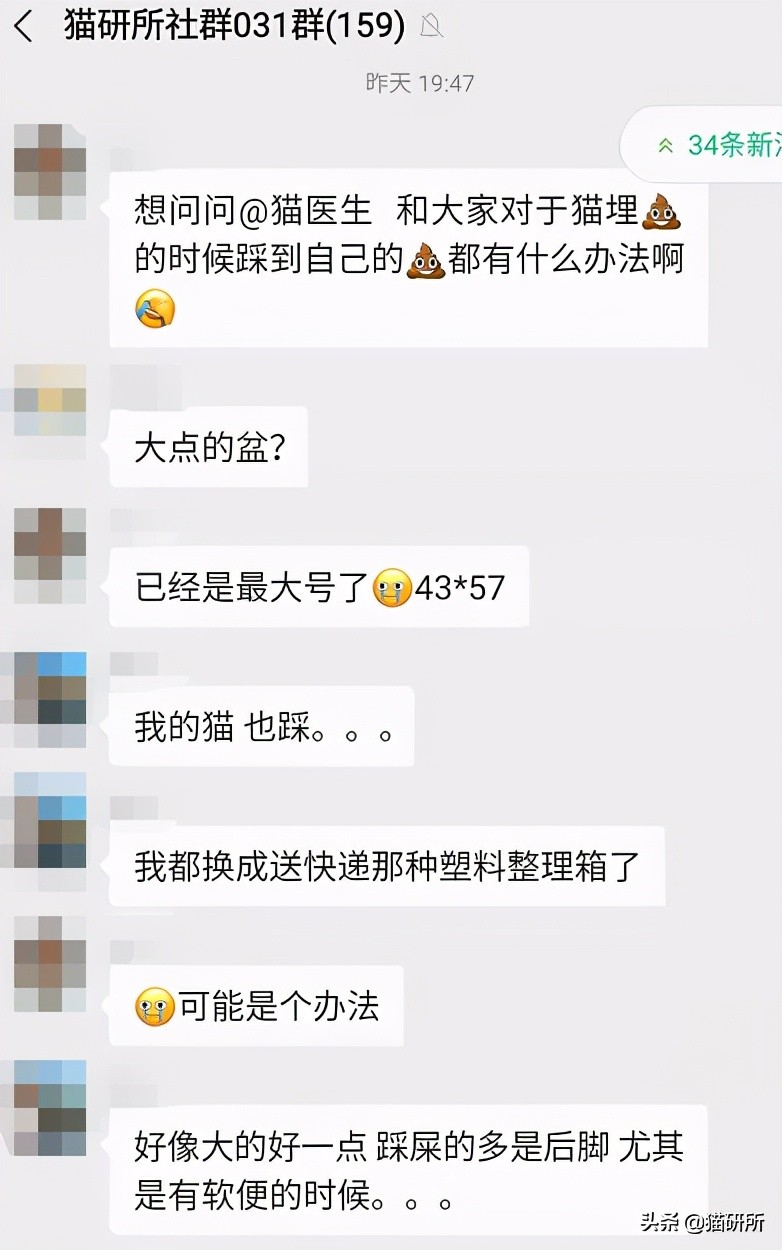 猫咪老是把屎踩的到处都是,猫咪踩屎在脚上