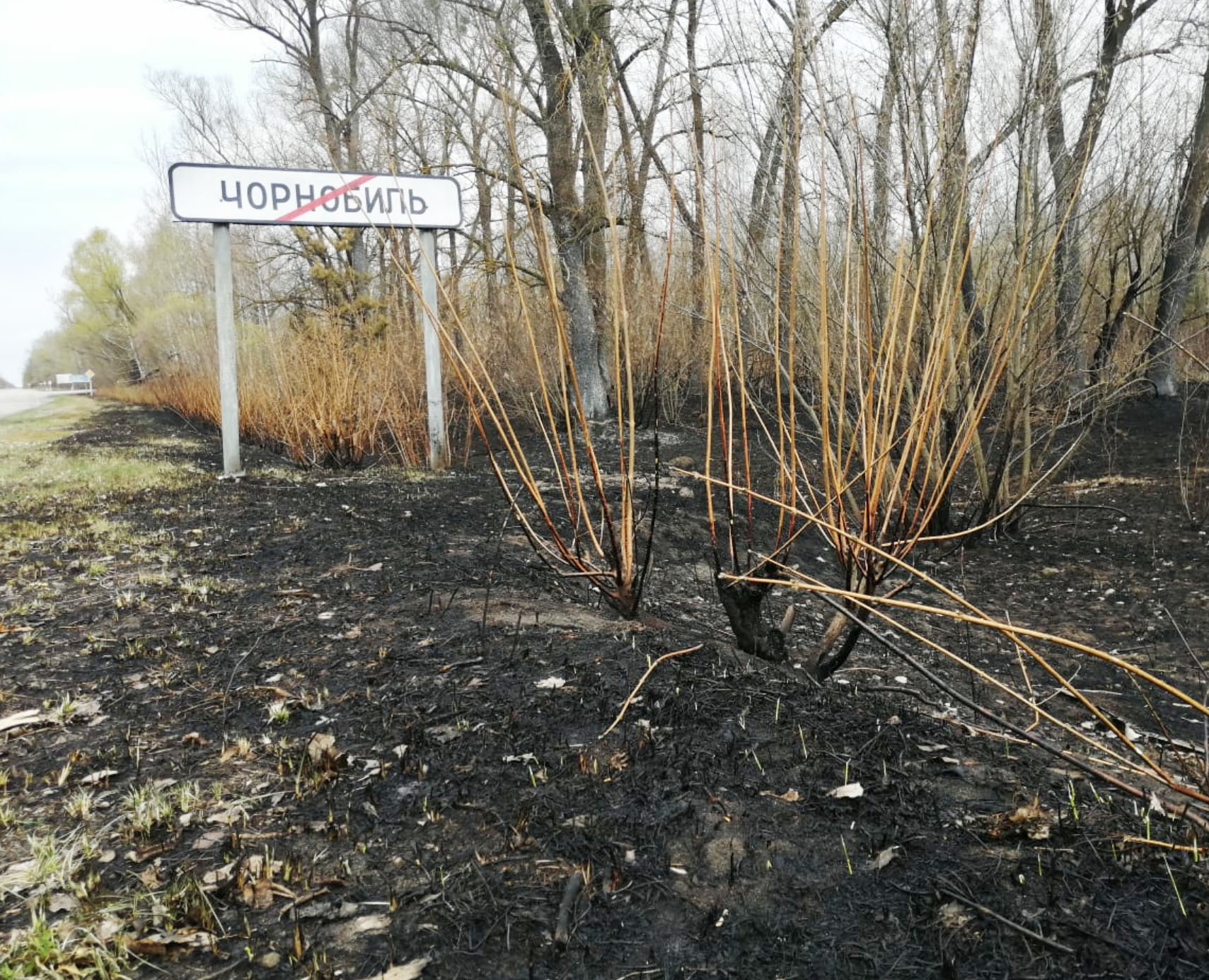 乌克兰,大火烧到了切尔诺贝利|地球知识局