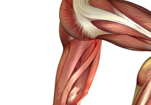 路滑老人摔倒后容易出现的情况,导致老人摔倒有哪些危险的地方