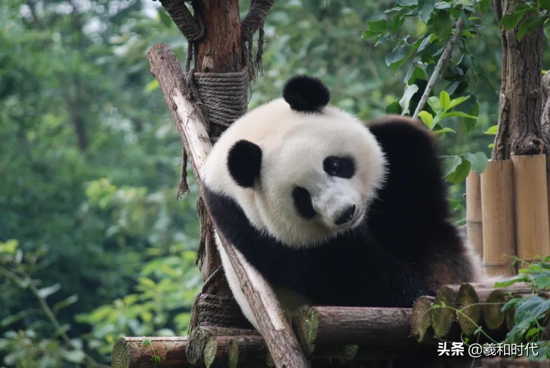 北京五日游攻略景点推荐一下,北京景点五日游推荐攻略