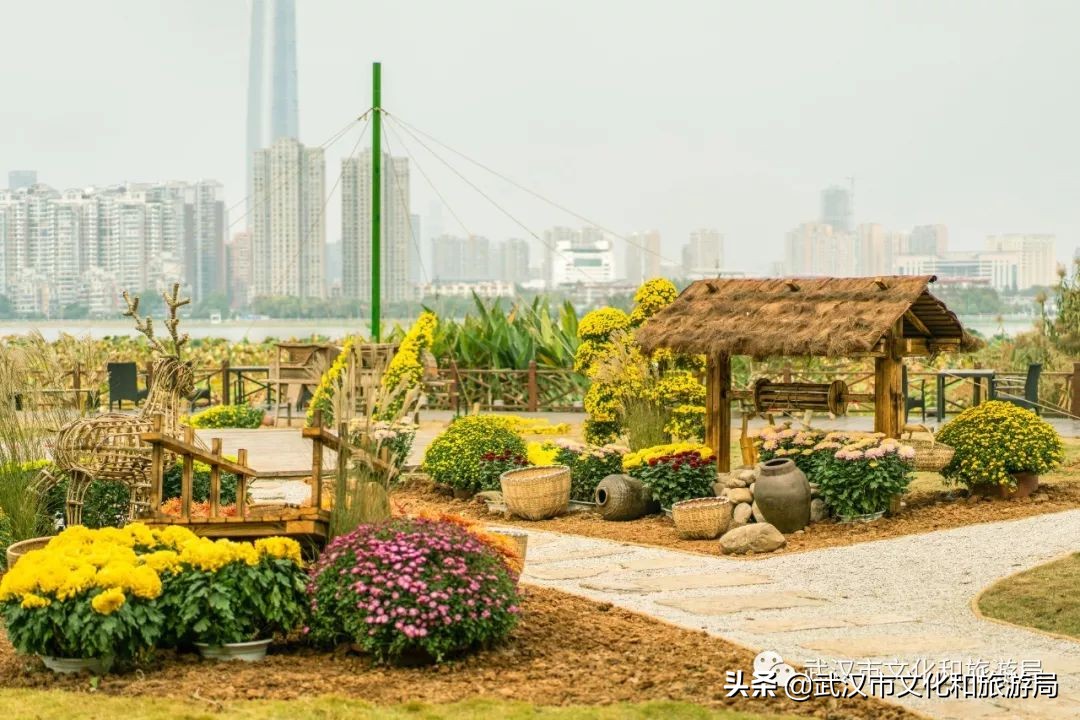 花点时间武汉东湖樱花园,武汉花点时间