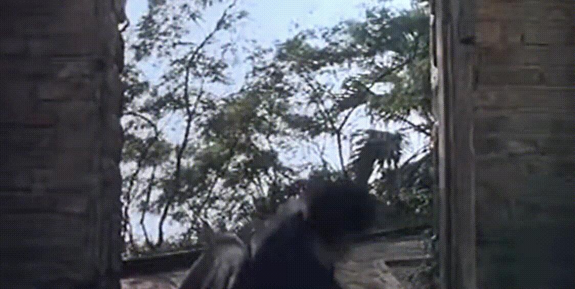 豪门之后选美折桂，从嘉禾金花到导演再到作家，郭锦恩的蜕变之路