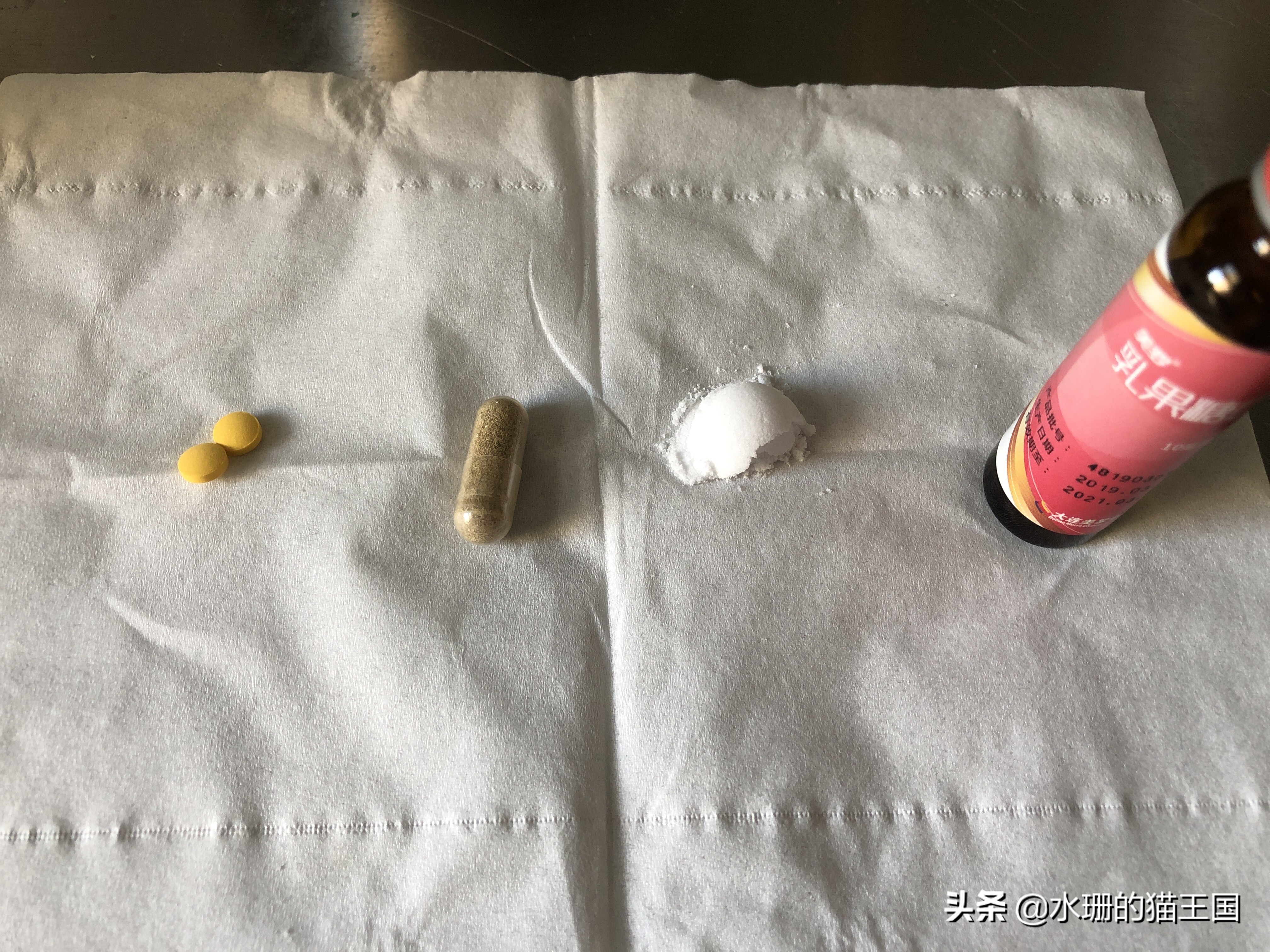 猫咪吃药口吐白沫,还难吃的哭了,到底怎么给猫喂药?正解在此