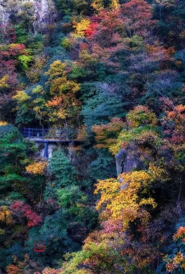 九华山下禅意,九华山禅隐民宿酒店