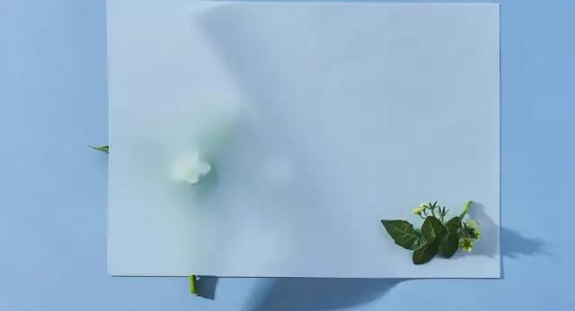 美食摄影真的没有这么难,美食摄影一拍就上手