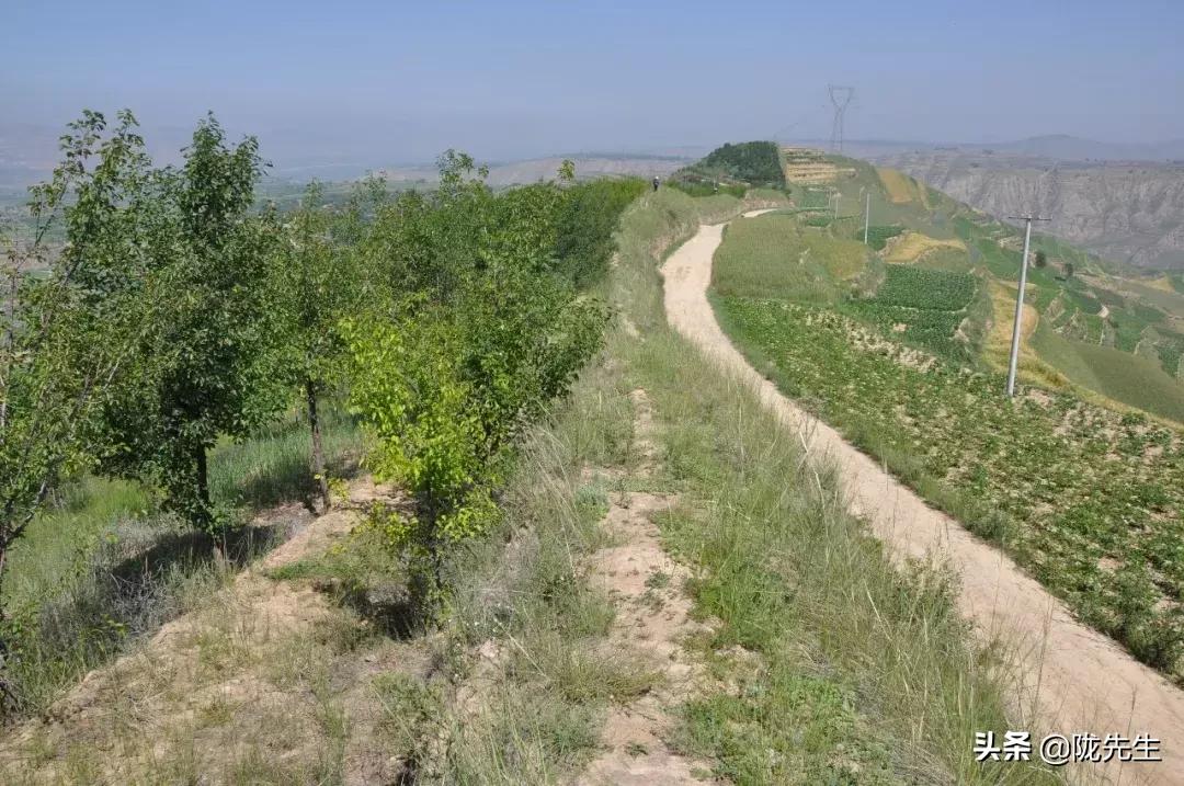 万里长城西起临洮东至辽东,西起临洮东至辽东的万里长城