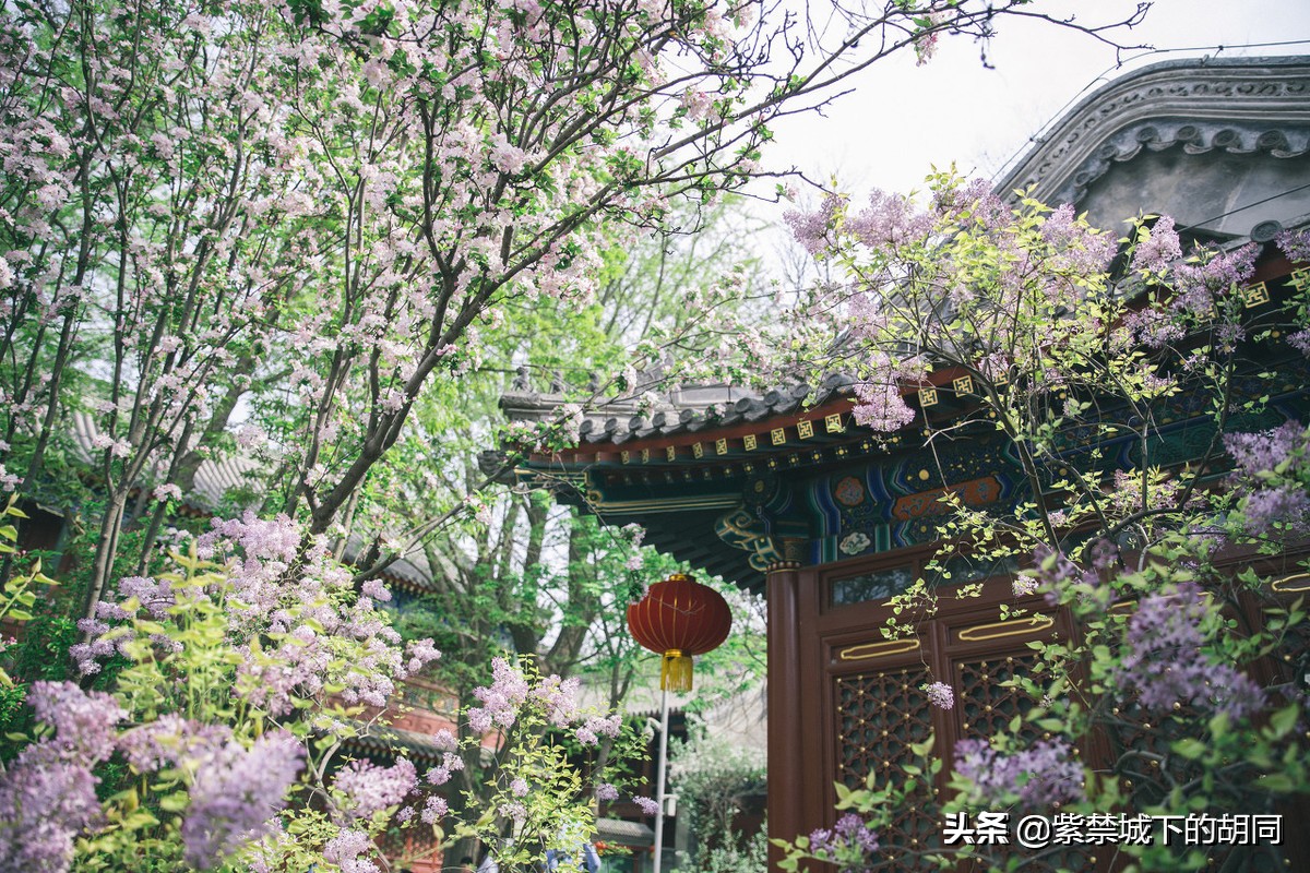 寻访京西千年古寺,寻访人间四月天