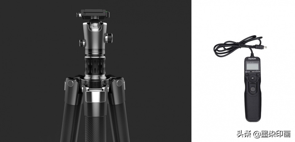 微距拍摄技巧与方法,如何拍摄清晰锐利的微距照片呢